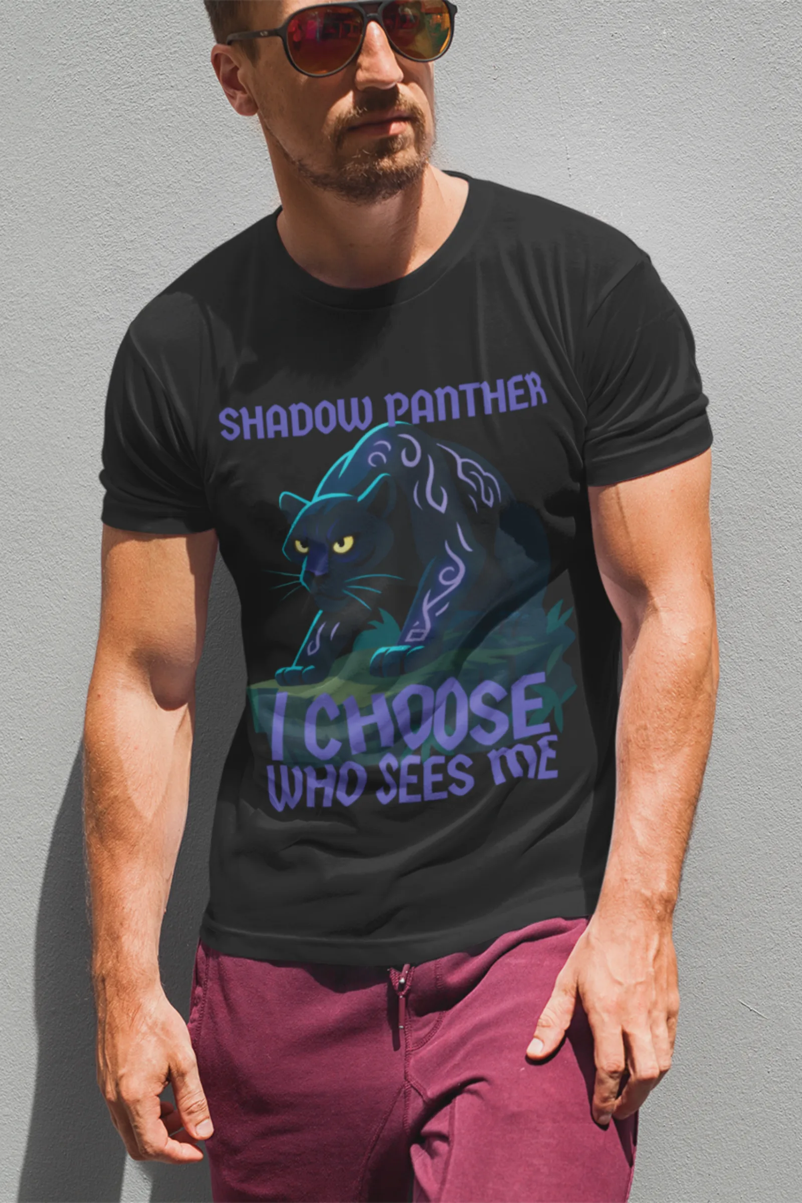 The Shadow Panther - Image 2